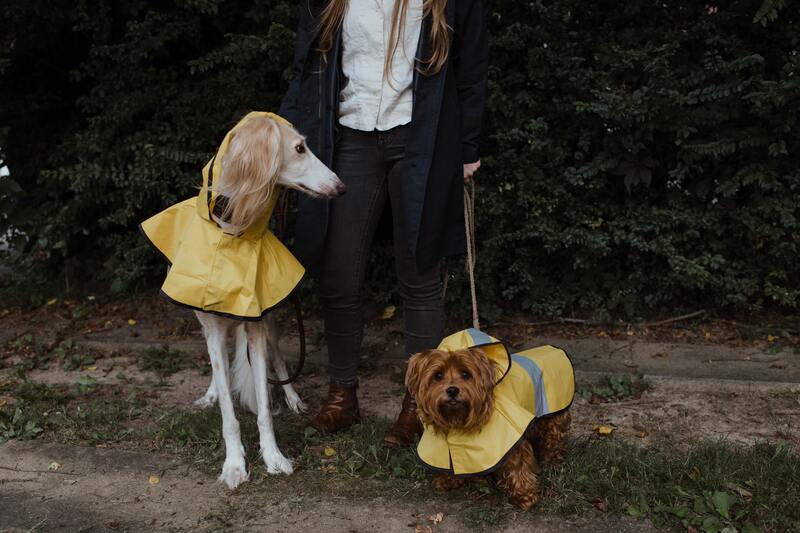 regenjas hond