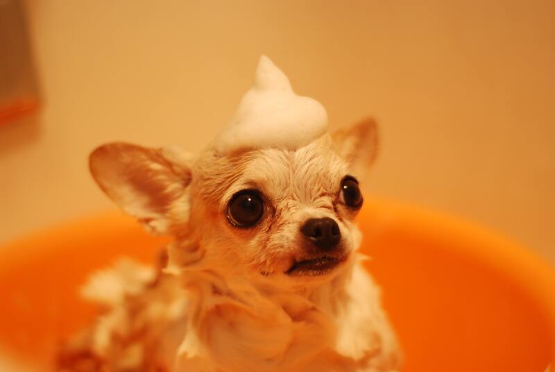 honden conditioner