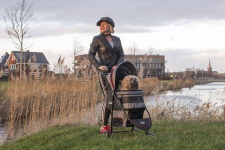 innopet honden buggy