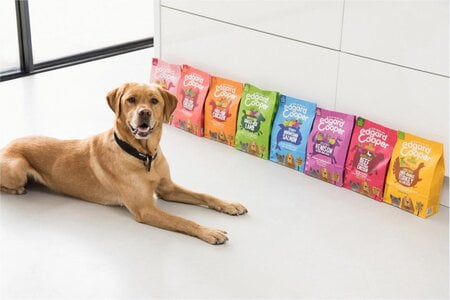 graanvrije puppybrokken