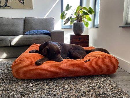 hondenmand kussen ovaal