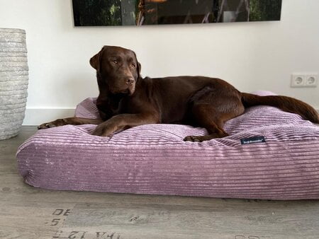 kussen hondenmand ovaal