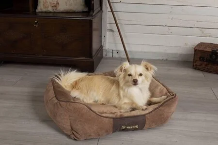 dierenmand hondenmat hondenbed hondenbank hondenzetel katten sofa met