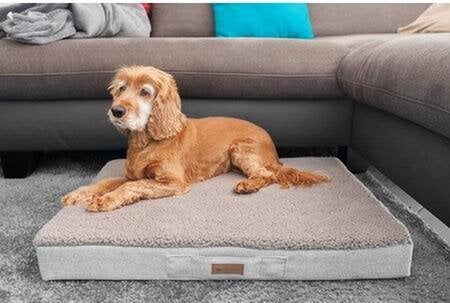 petlando hondenkussen