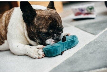 play hondenspeelgoed