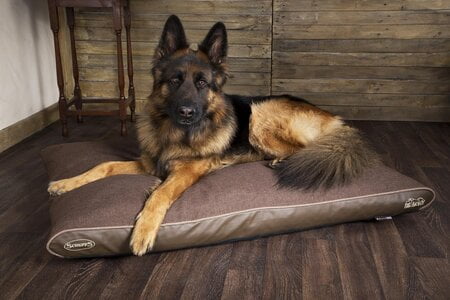 scruffs hondenkussen