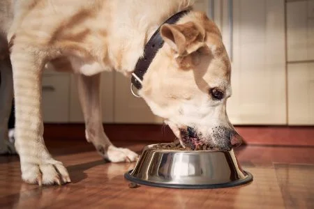 Happy Dog Lam & Rijst 15 kg | €36,75 - De Welpenhoeve