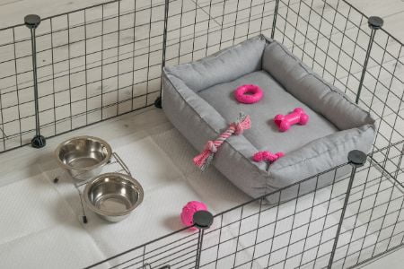 opvouwbare hondenbench