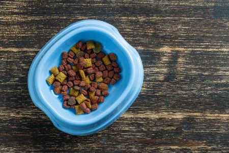 wellness core hondenvoer wellness core hondenvoer