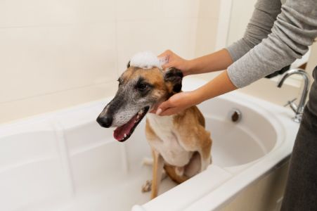panzi pet honden shampoo panzi pet honden shampoo