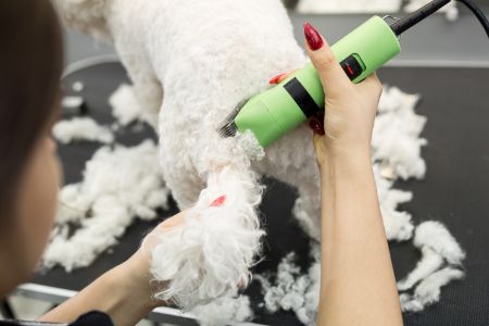 Aesculap tondeuse voor honden