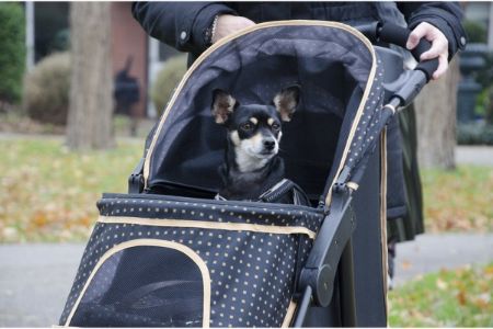 buggy hond 15 kilo buggy hond 15 kilo