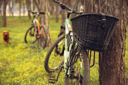 fietsmand hond achterop 12kg