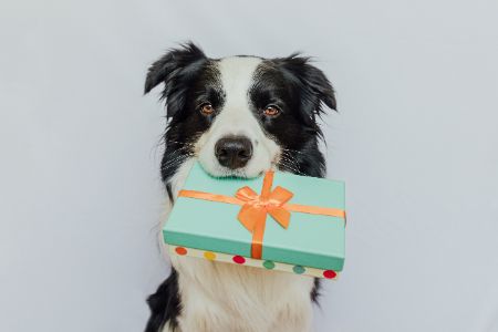 honden cadeaus