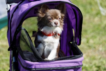 honden kinderwagen 20 kilo