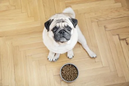 Lily's Kitchen Puppy - Dose | Welpenfutter