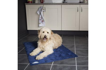 koelmat hond kruidvat alternatief