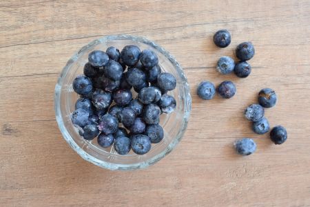 mogen honden blauwe bessen