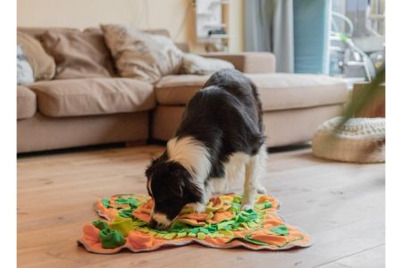 aldi snuffelmat alternatief