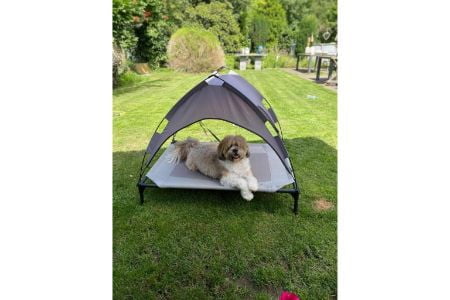 hondenstretcher Pets Place