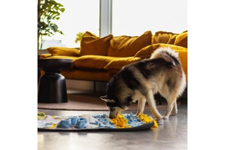 snuffelmat hond aldi