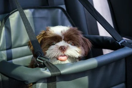 Gearking Hondenautostoeltje voor grote honden onder 100 lbs, hondenautobed huisdierverhoger achterbank verwijderbaar wasbaar huisdier reizen veiligheid autostoel met