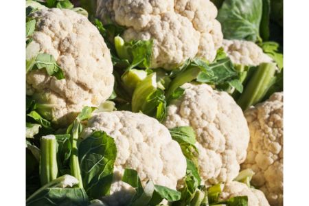 mag een hond gekookte bloemkool mag een hond gekookte bloemkool