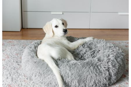 donut hondenmand 120 cm