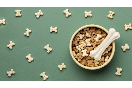 hond eet niet maar wel koekjes