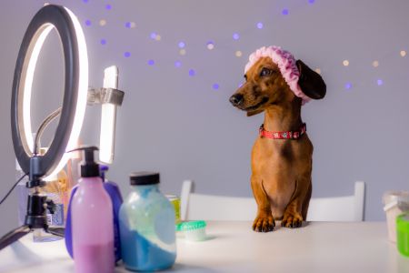 honden parfum action