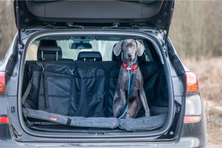 hondendeken auto blokker