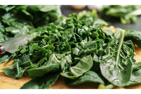 mogen honden spinazie mogen honden spinazie