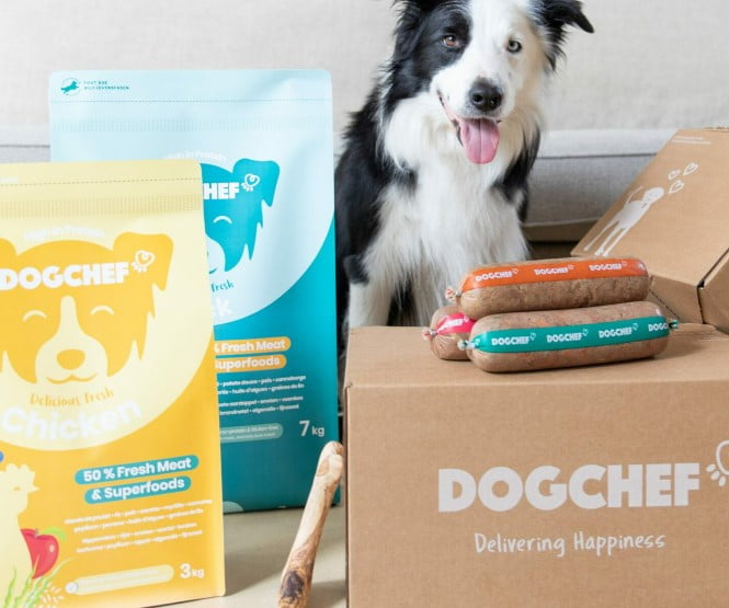 beste hondenbrokken puppy beste hondenbrokken puppy