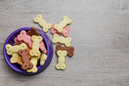 dog-bowl-with-treats (1)