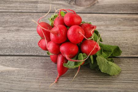 mogen honden radijs mogen honden radijs