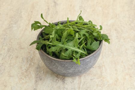 mogen honden rucola