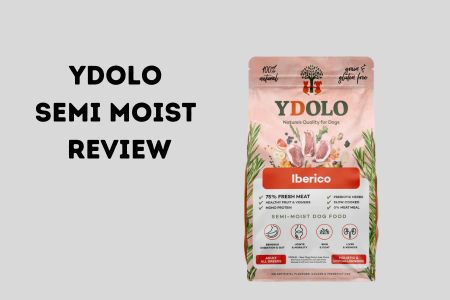 Ydolo Semi Moist review