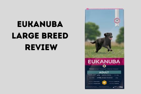 Eukanuba Large Breed review